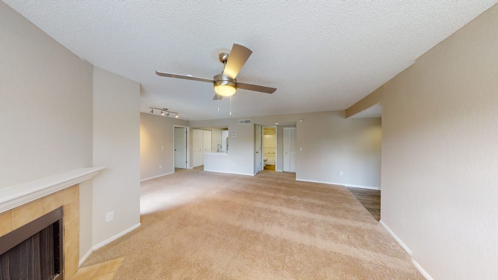 Cypress Run Image 12