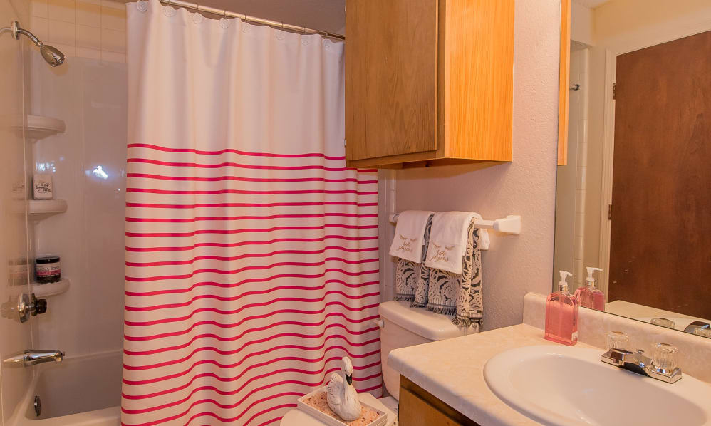 Silver Springs Image 18