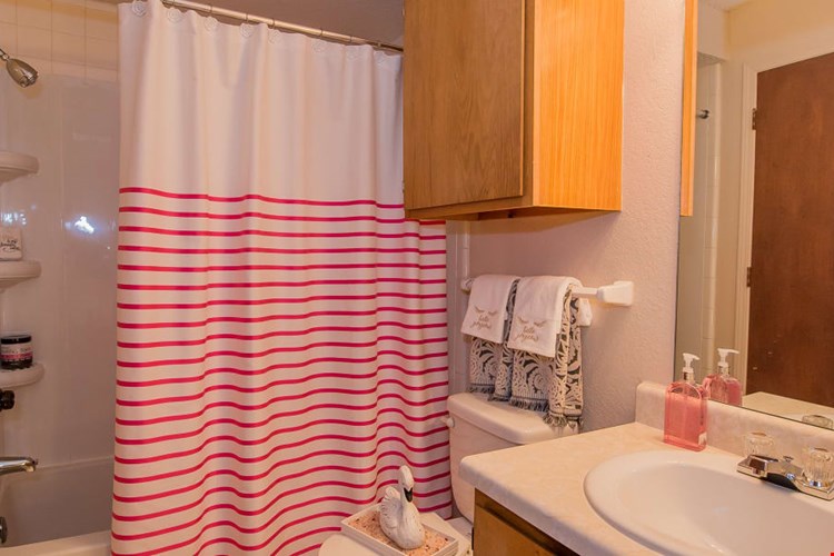 Silver Springs Image 18