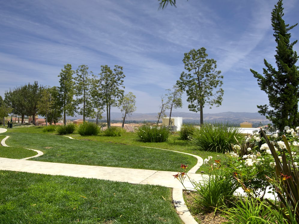Community Walkway