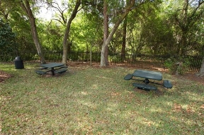 Cypress Grand Image 18