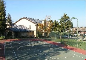 The Fountains Image 4
