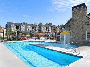 Tarmigan at Wapato Creek Image 4