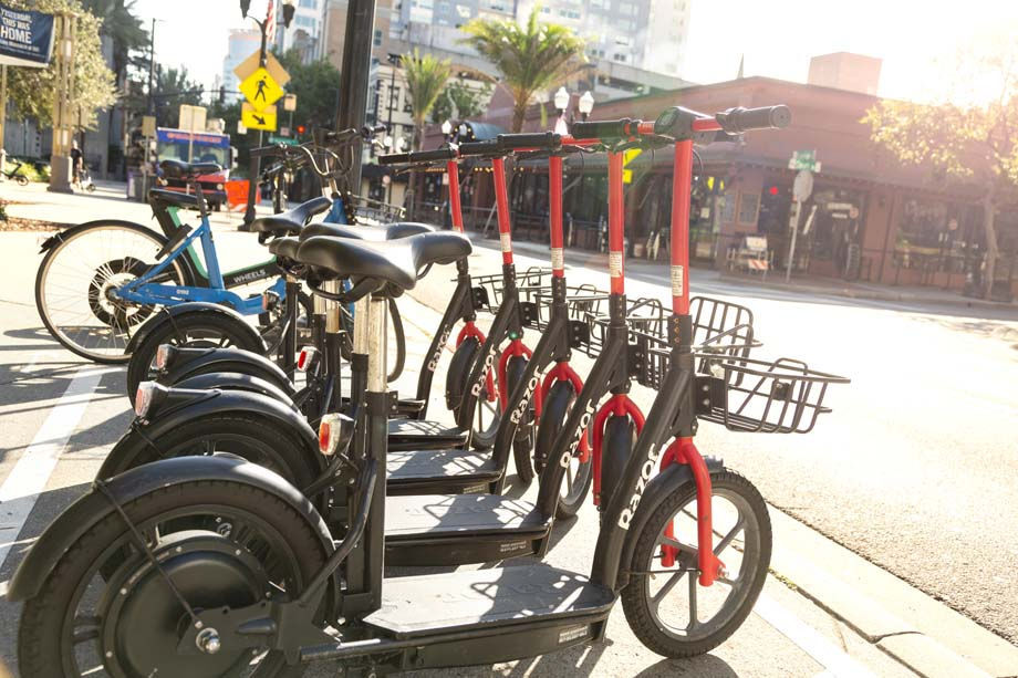 Camden Thornton Park Image 45