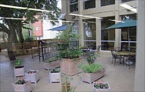 Viridian Image 2