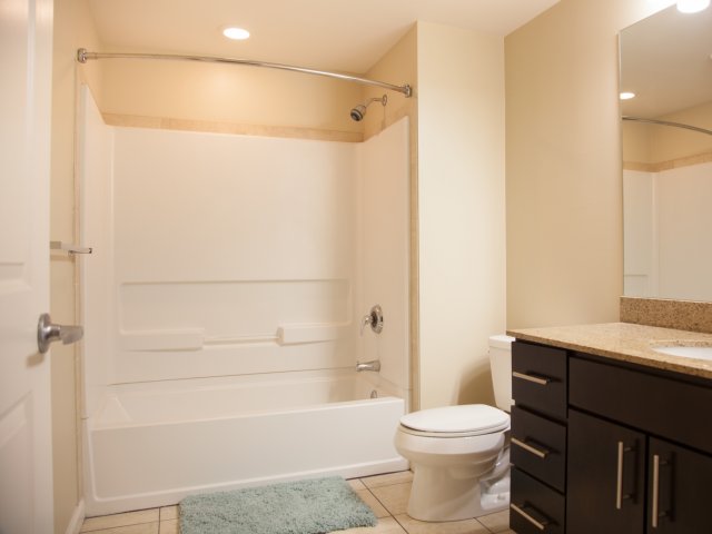 Bathtubs with Massage Shower Heads