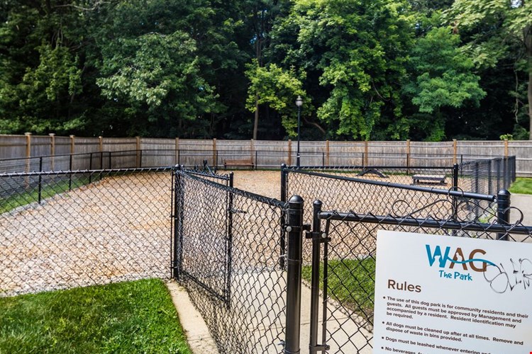 WAG pet park