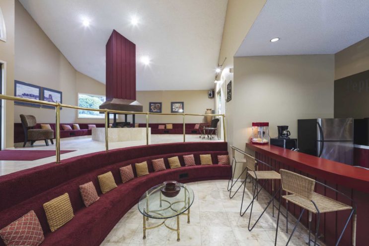 Pepper Tree Image 11