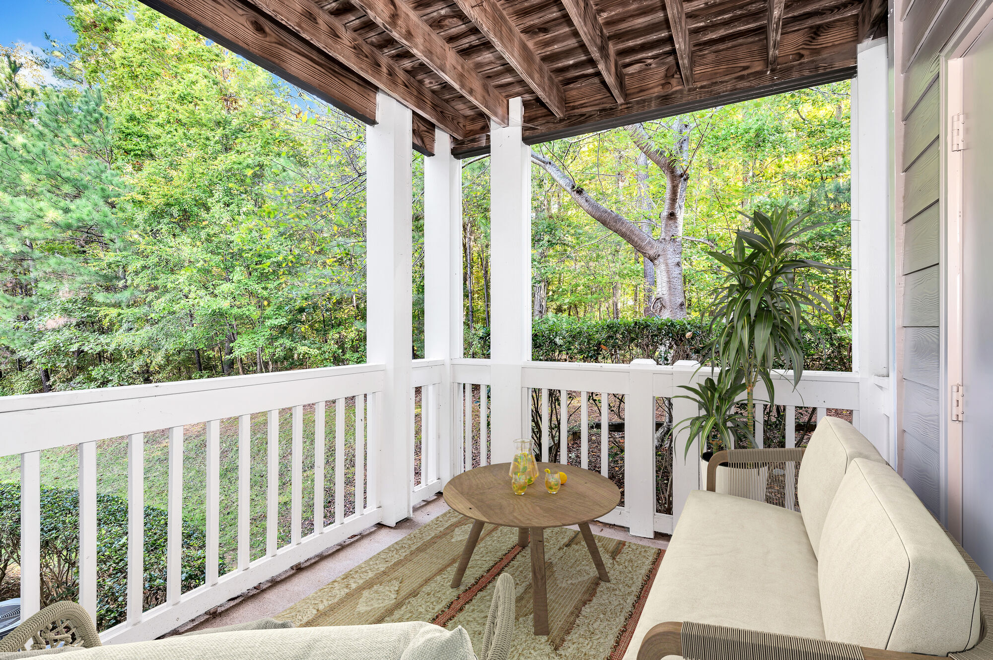 Camden Lake Pine Image 19