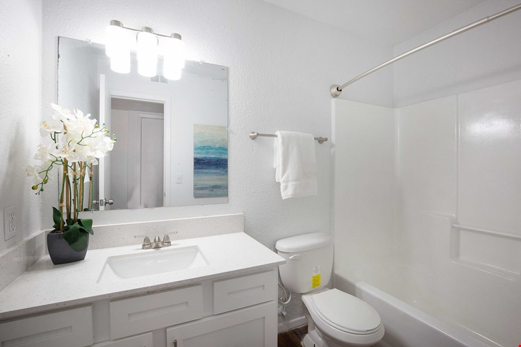 Ascent at Walnut Creek Image 10