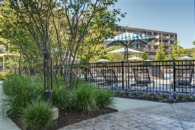 Sherri Park Apartments Image 10