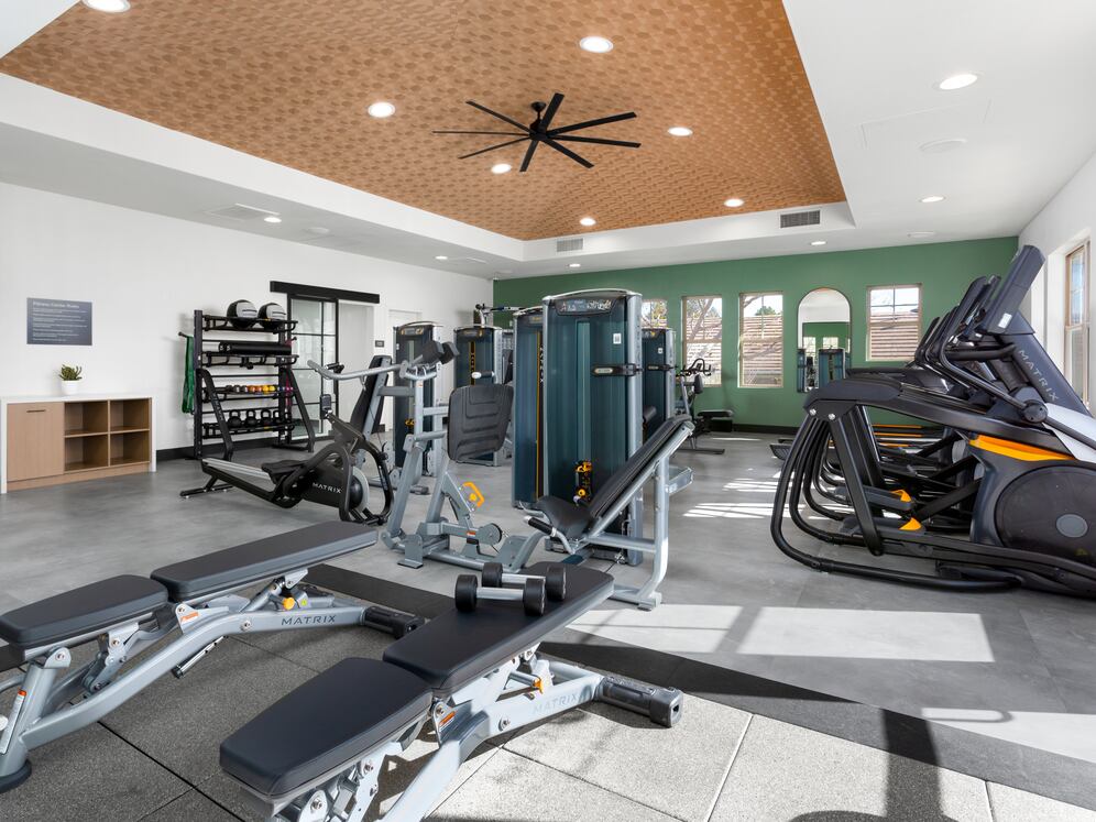 Fitness Center with Strength and Cardio Equipment