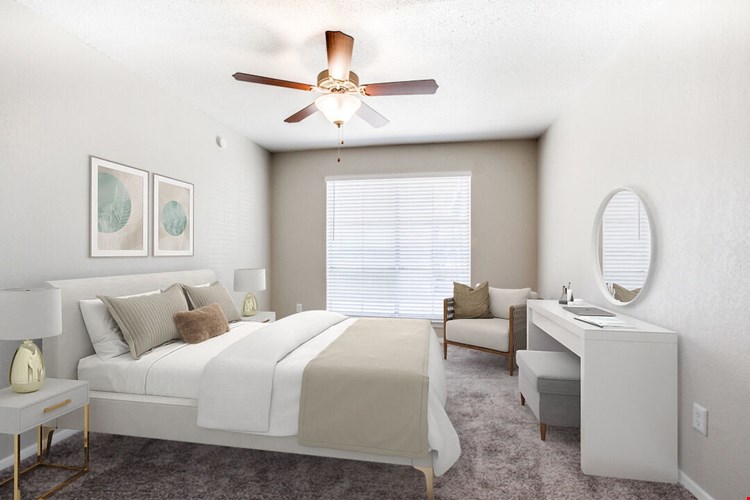Solana Image 20