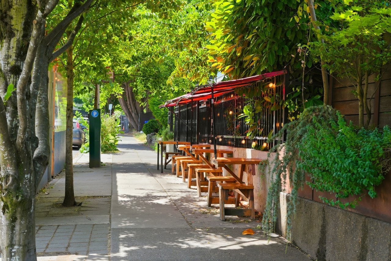 The Fitz Image 27