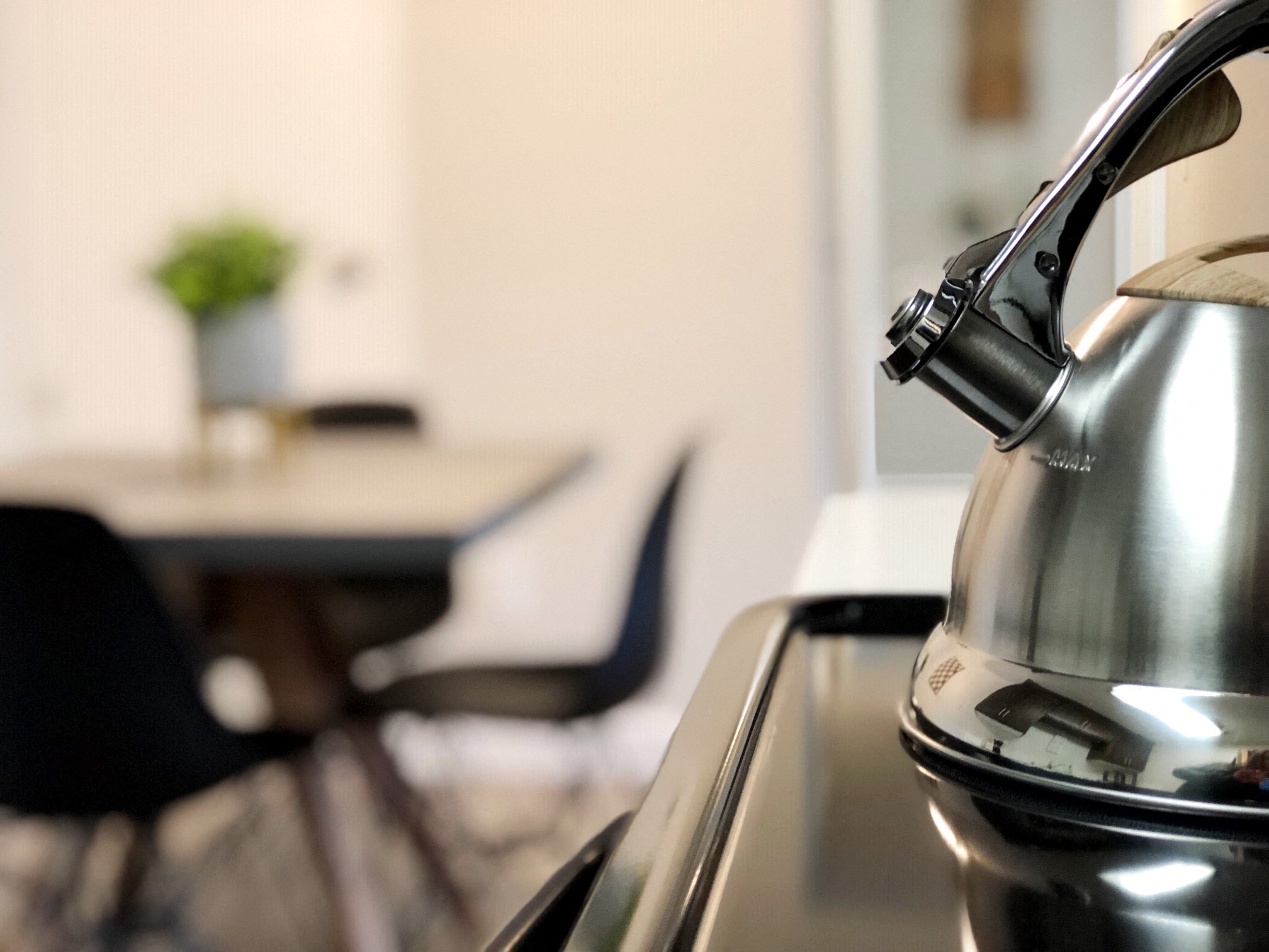 98Hundred Apartments Stovetop Kettle