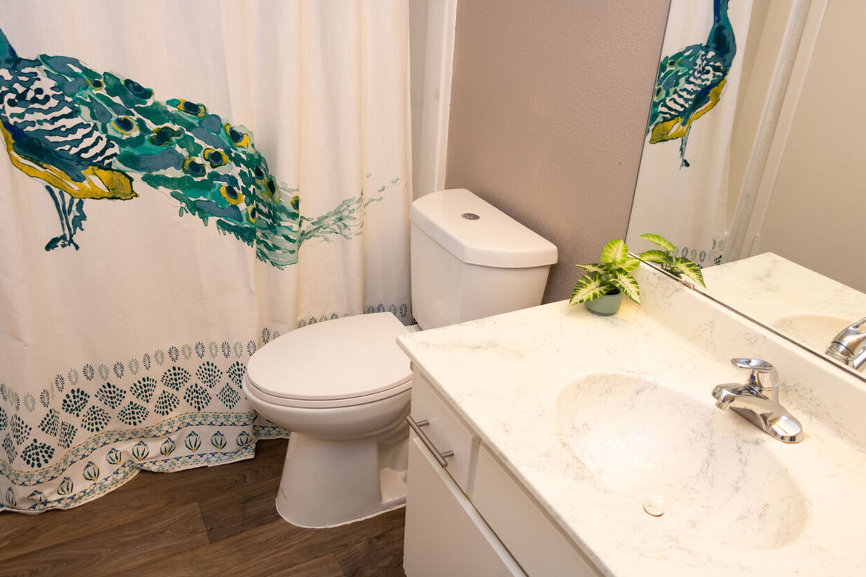 Zia Townhomes Image 6