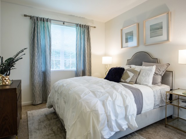 Natural light filled living spaces