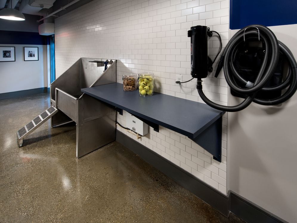 WAG pet spa with bathing area and grooming equipment