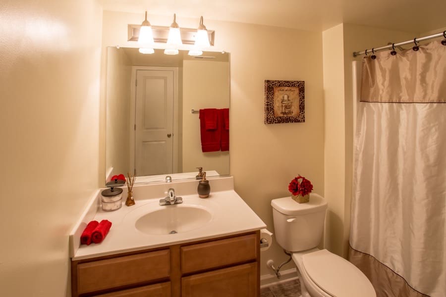 Forrest Pines Image 7