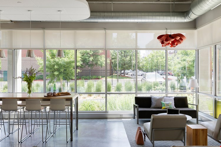 NoLo Living South (North Loop) Image 9