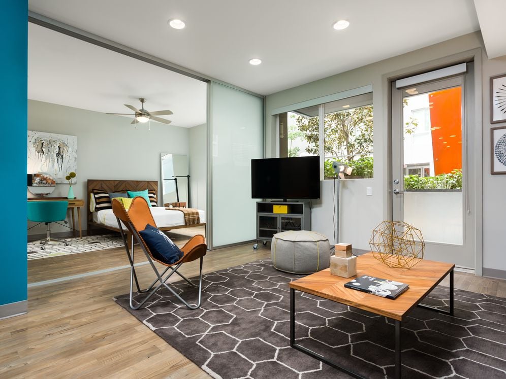 One bedroom living room