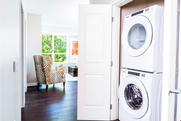 Two-Bedroom Apartment Laundry and Living Room