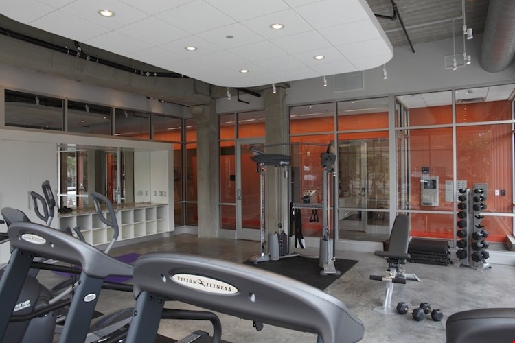 NoLo Living South (North Loop) Image 8