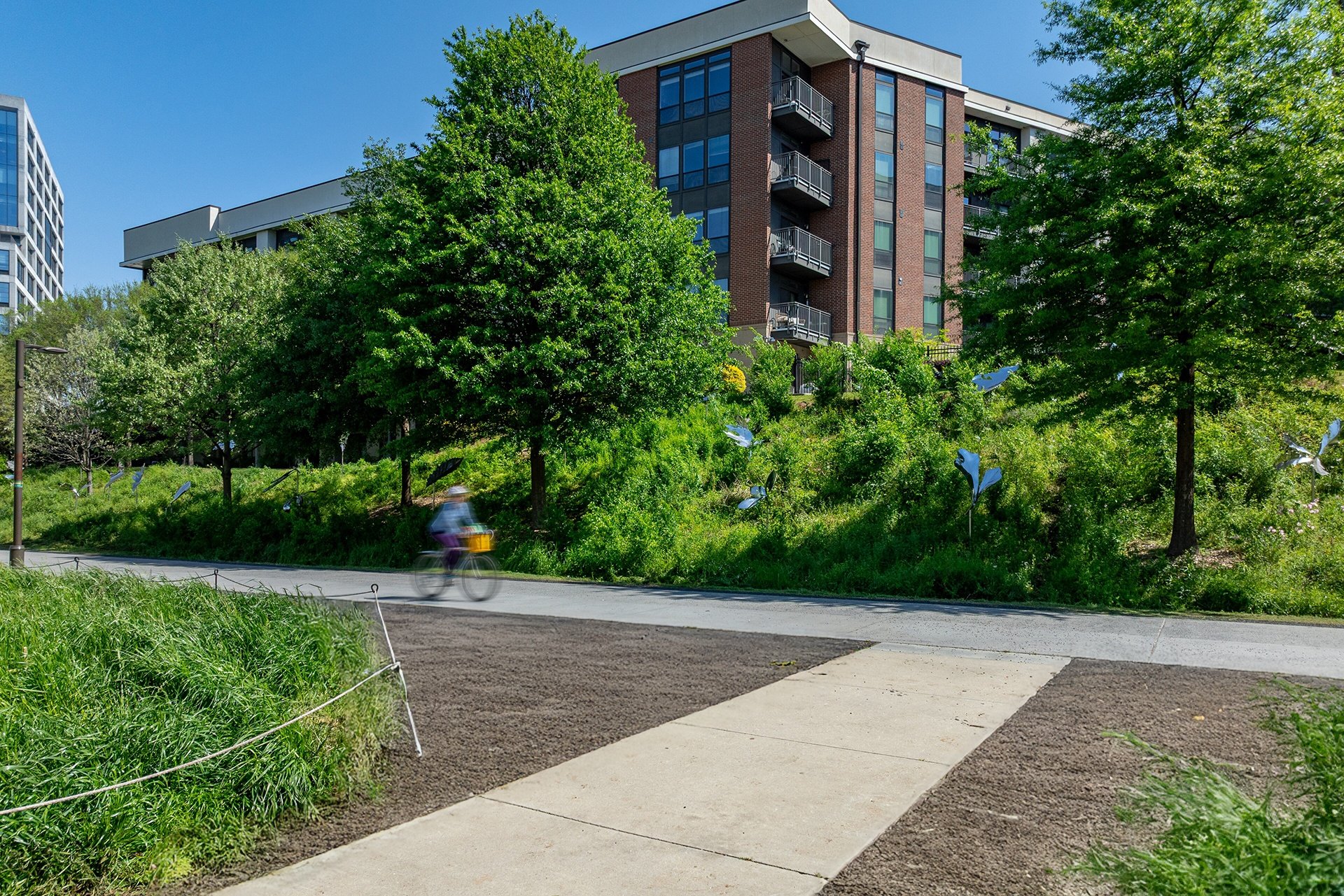 North and Line Apartments Image 32