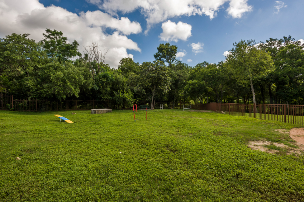 Dog Park
