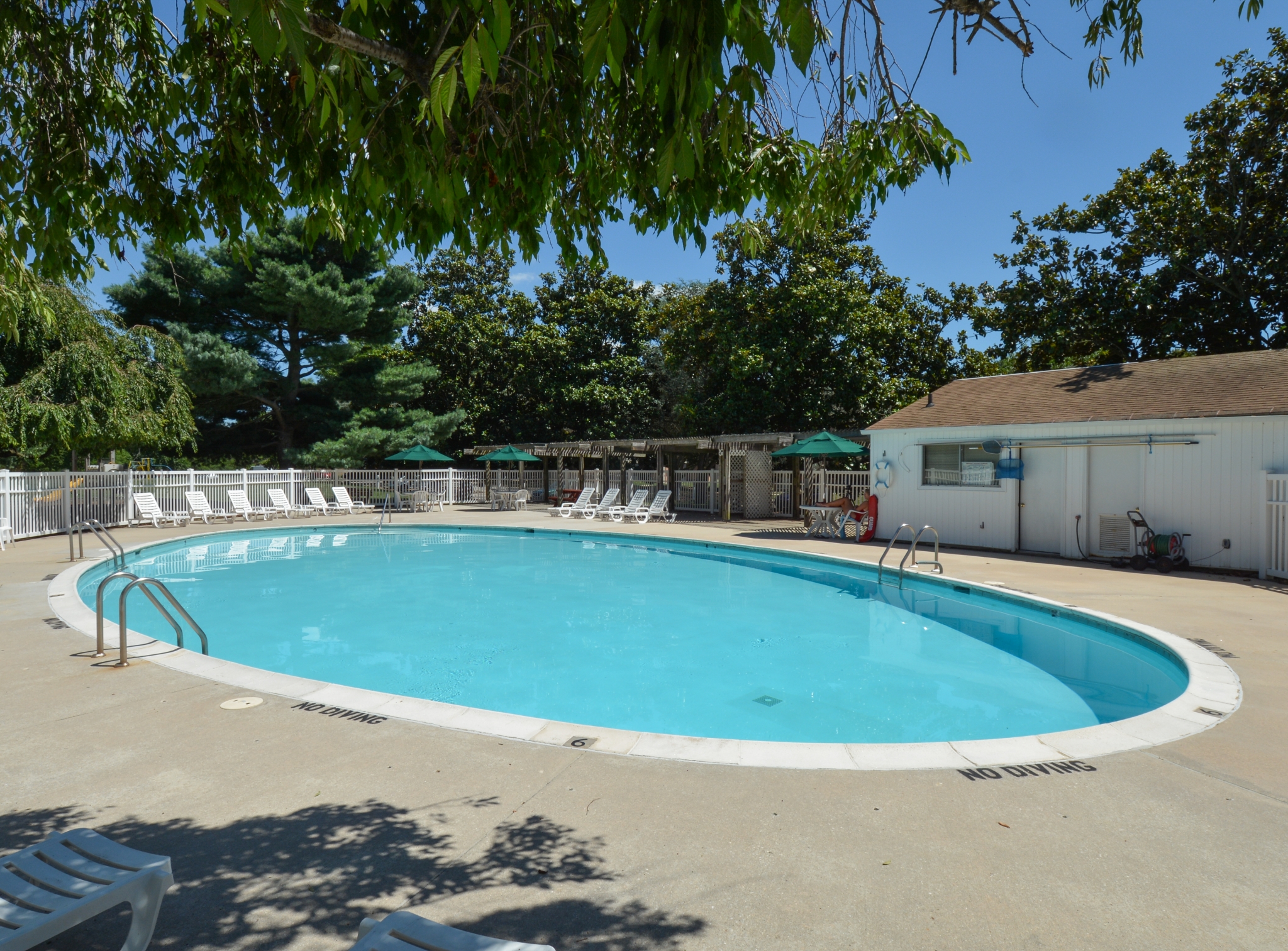 Lake Club Apartments Pool