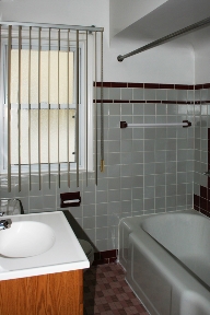 ambers The Vines Image 14