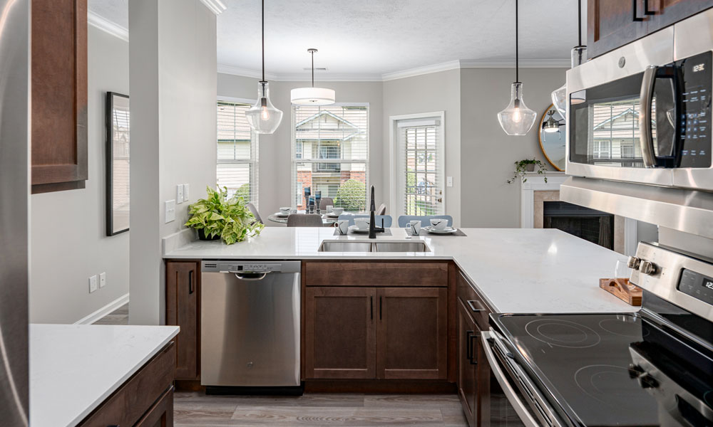 Elevate on main Image 2