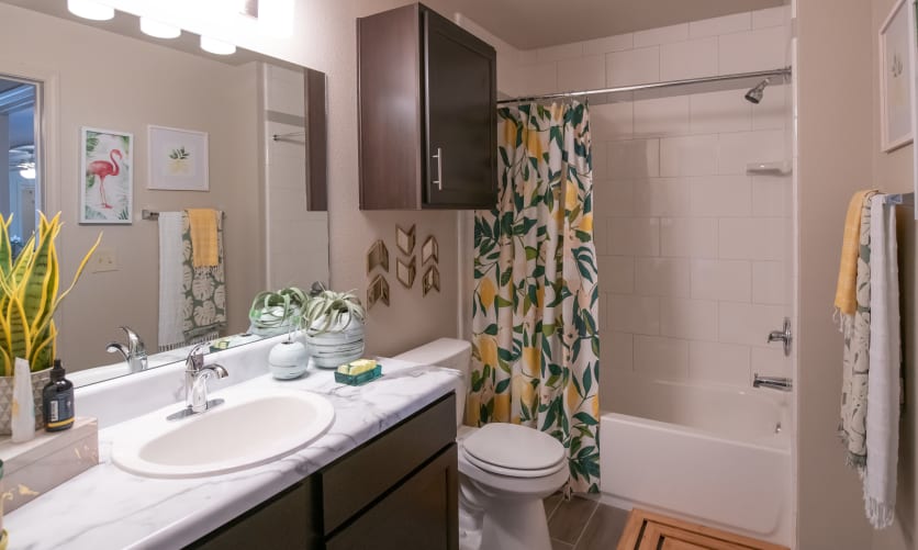 The Portico at Friars Creek Image 16