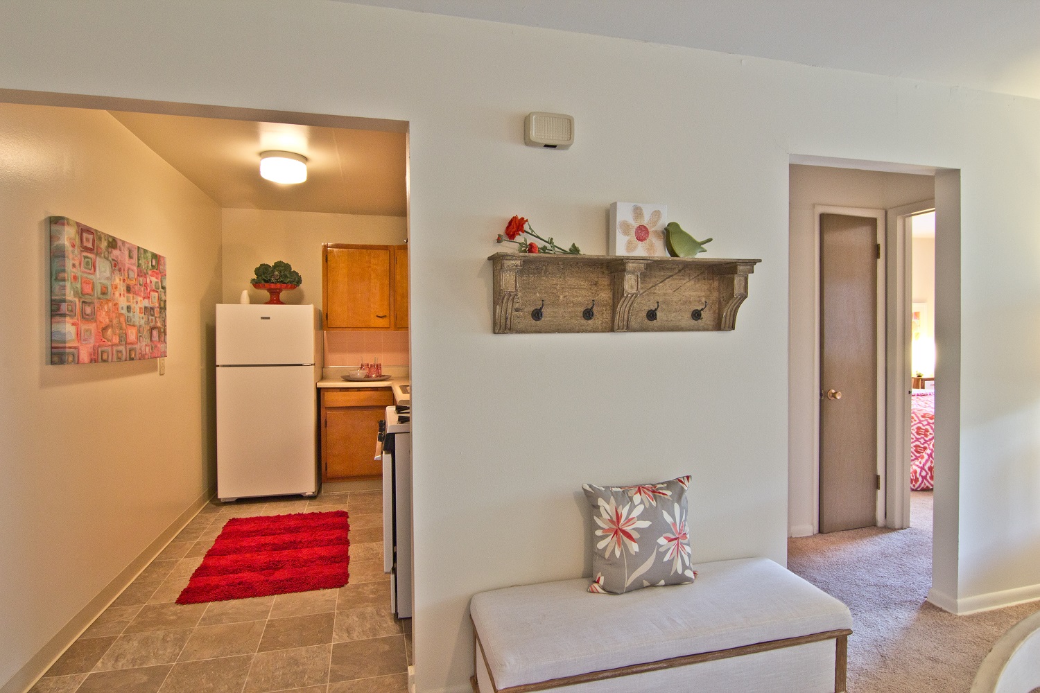 54 HQ Photos Cat Declawing Prices Columbus Ohio : Bexley Commons