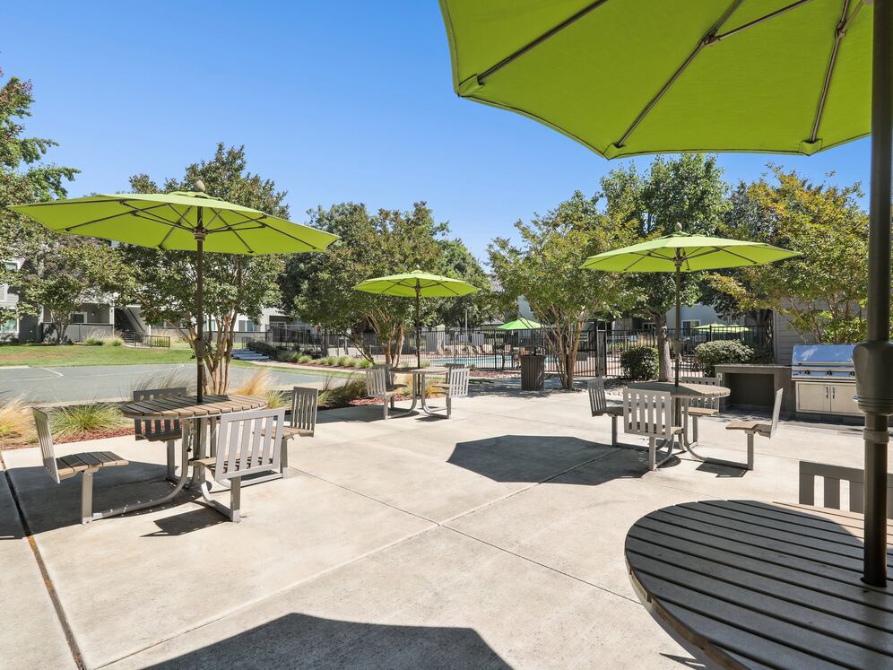 Barbecue grills and picnic areas