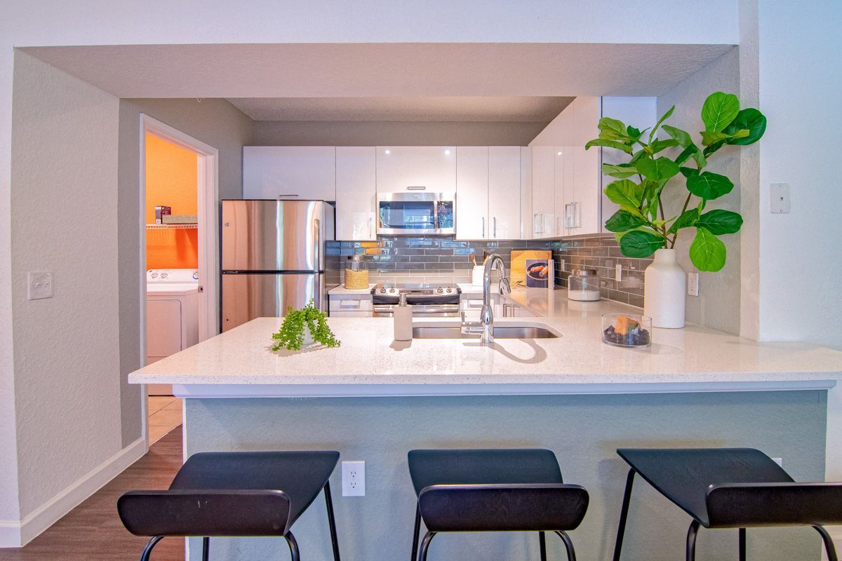 The Sophia Abacoa Image 4