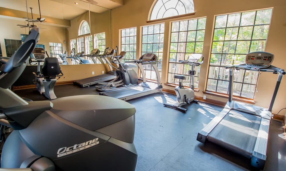 The Trace of Ridgeland Image 5