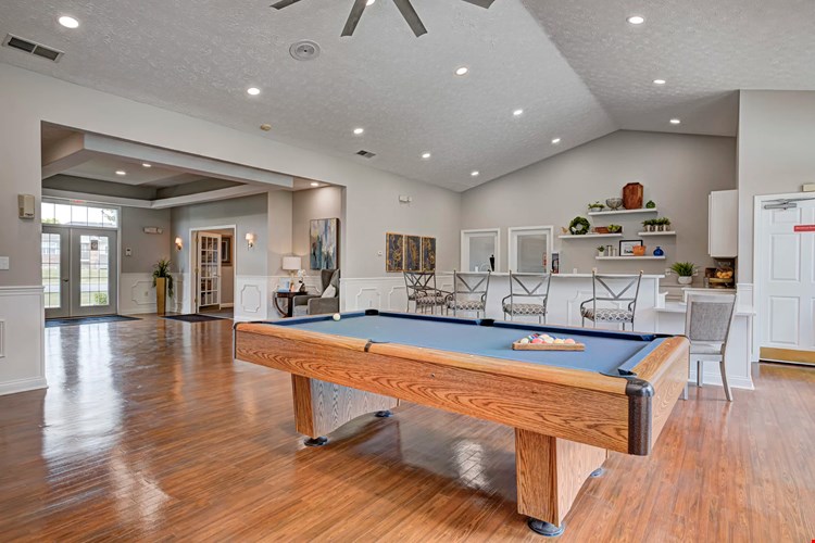 Autumn Chase Image 13