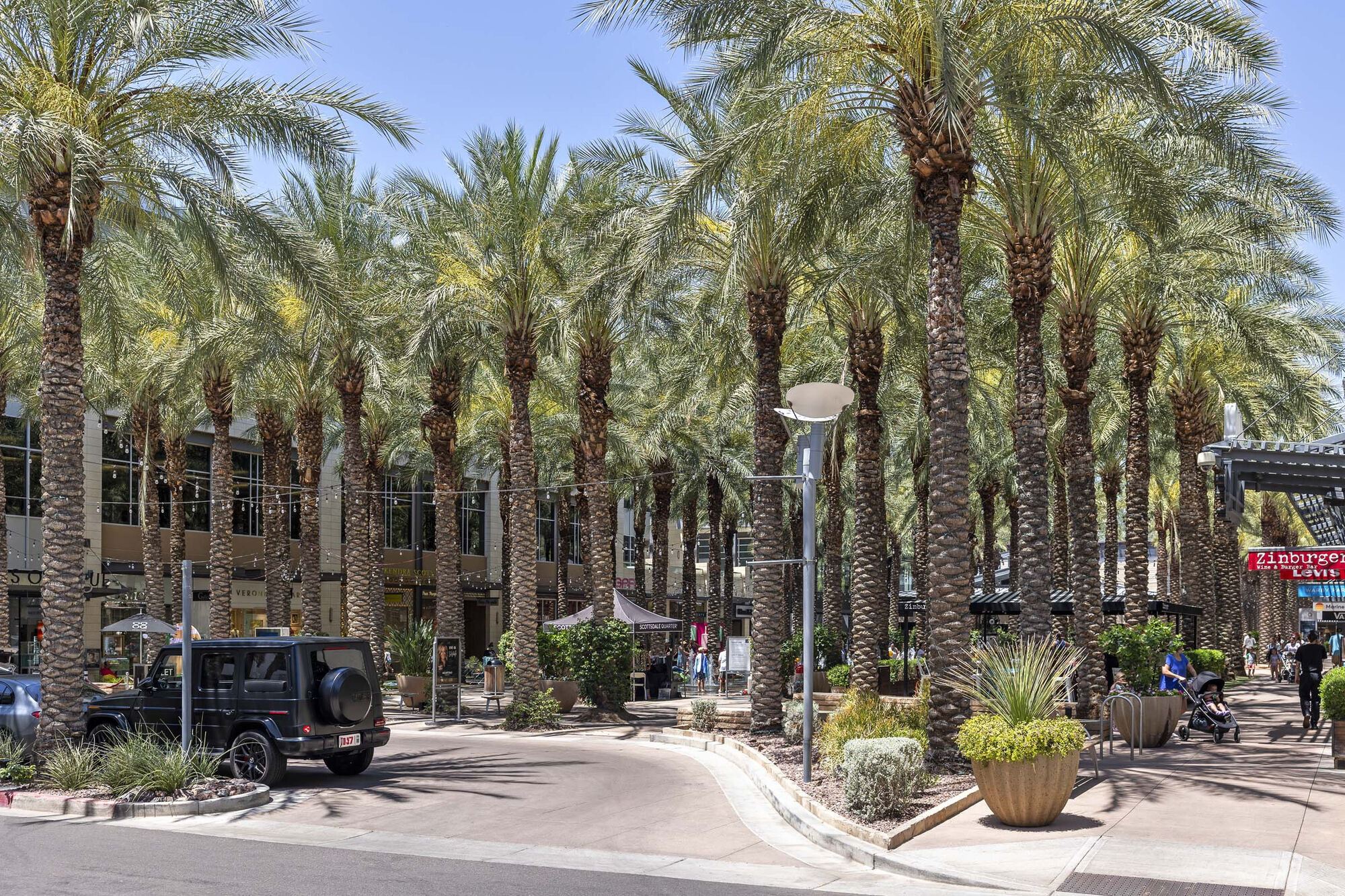 Camden San Paloma Image 39