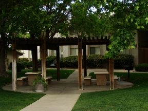 North Park Apartments Image 10