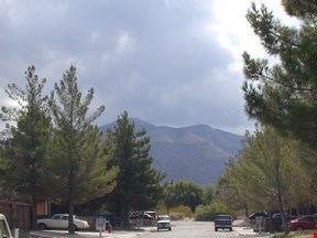 Los Arcos and Starlight Court Image 6