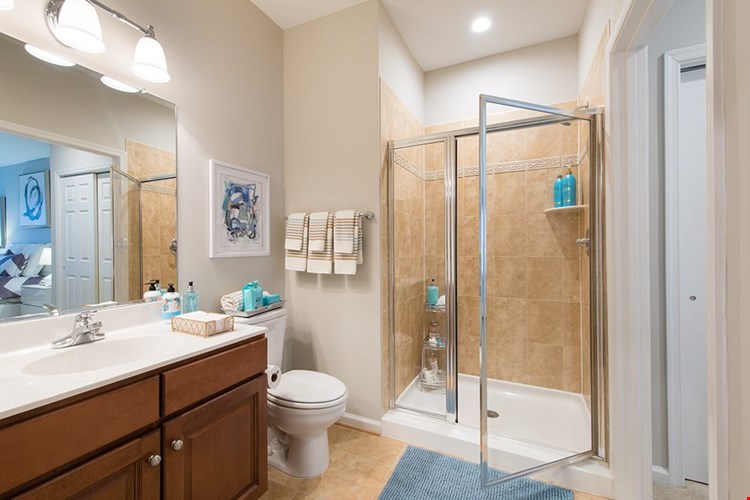 Cosmo at Lorton Image 10