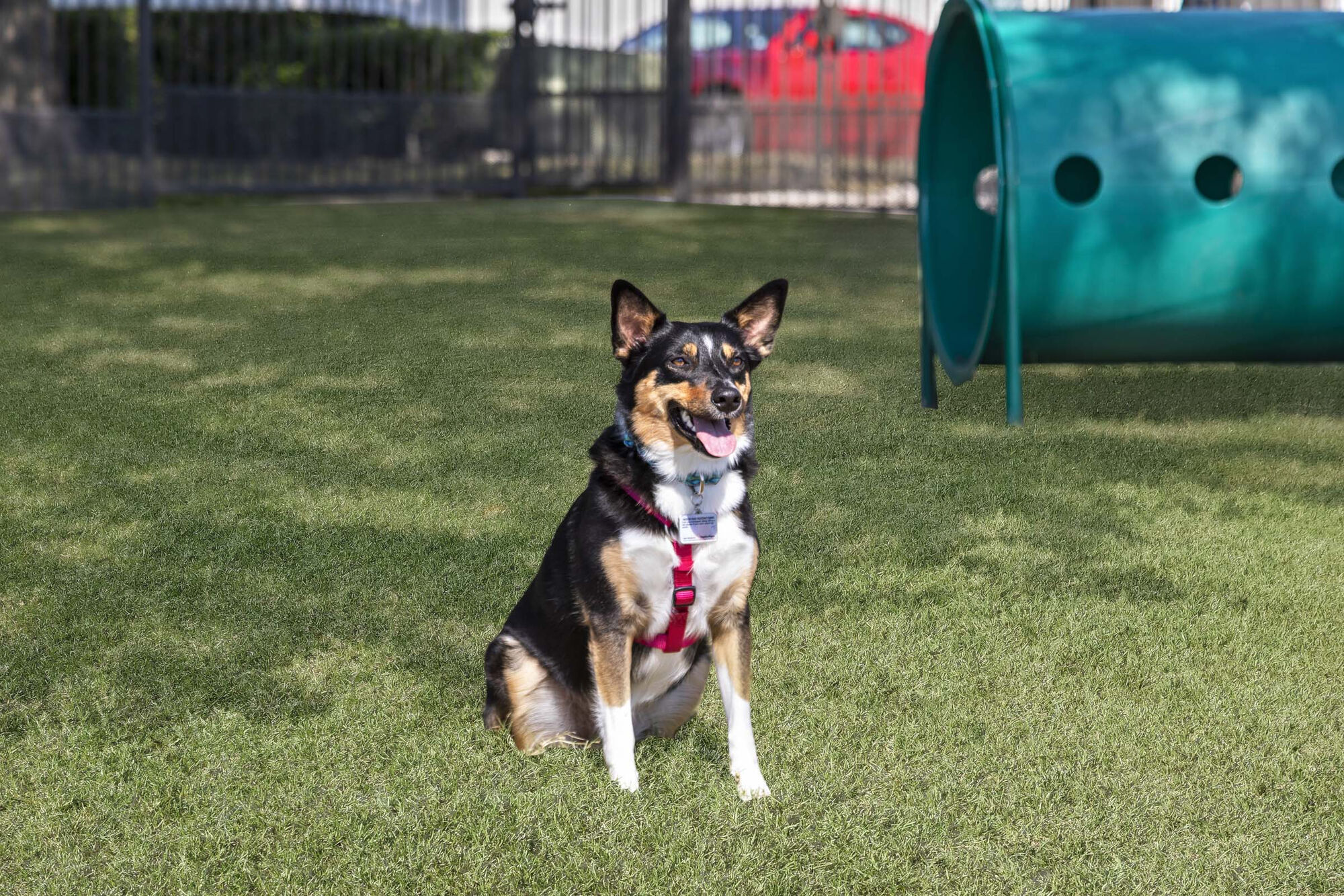 Camden Legacy Park Image 35