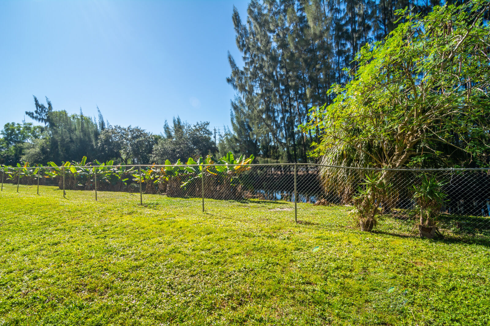 Viewmax Apartments Image 10