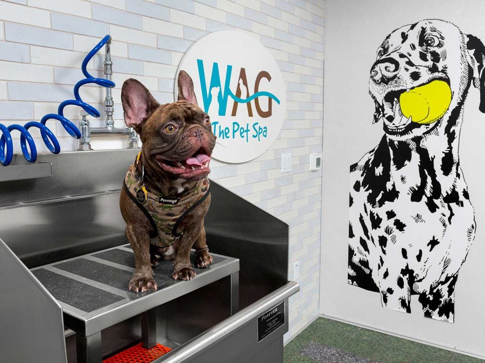 WAG Pet Spa