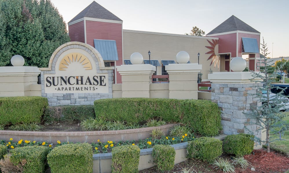 Sunchase Image 2