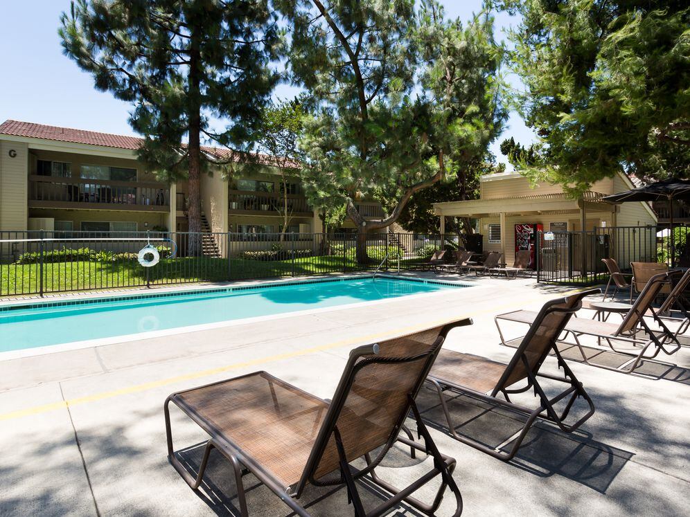 Swimming Pool and Sundeck