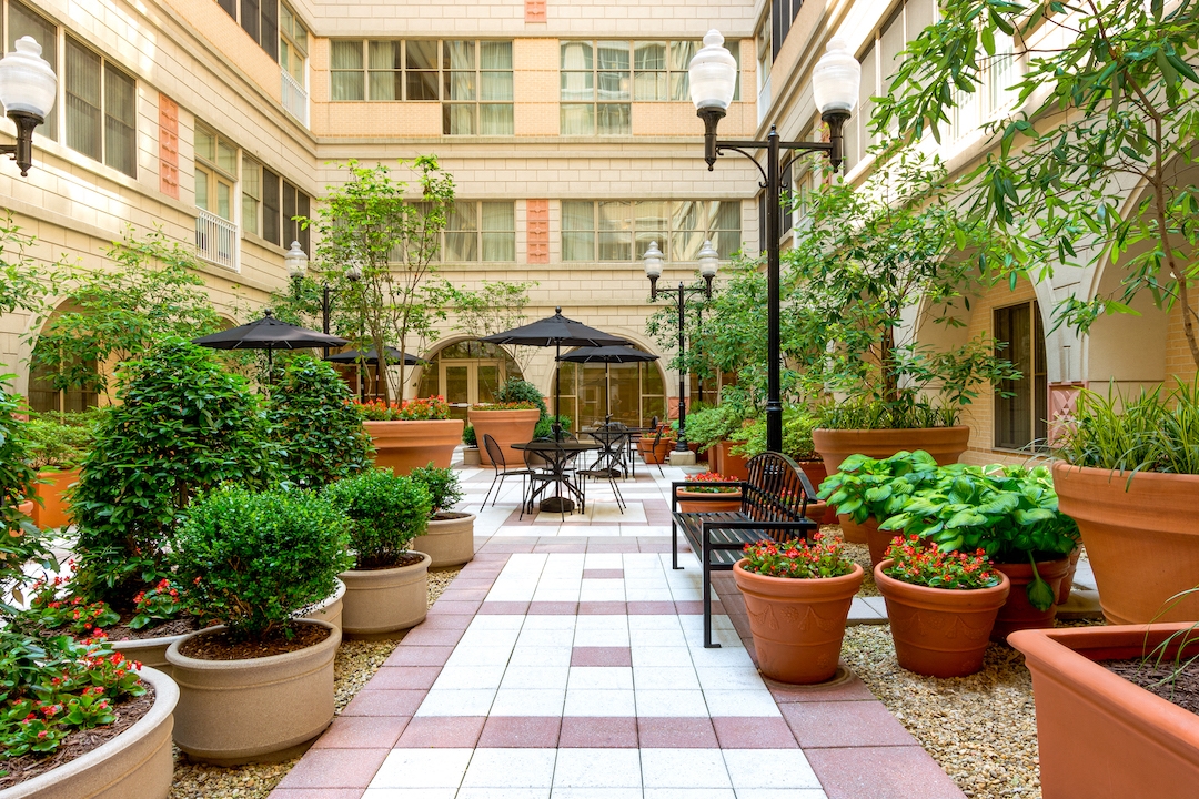 The Atrium Image 38