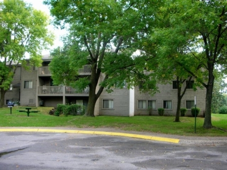 Shadow Green Image 2