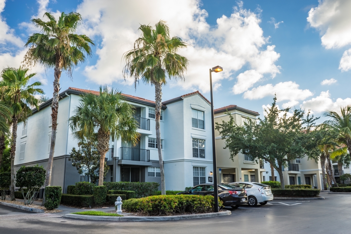 The Sophia Abacoa Image 14